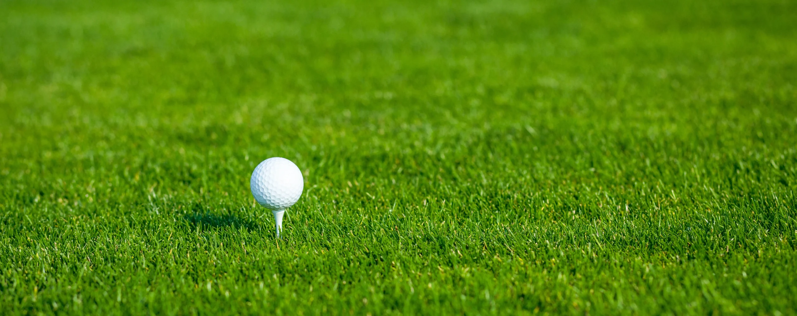 Golf course prepared for the ZINWA Charity Golf Tournament